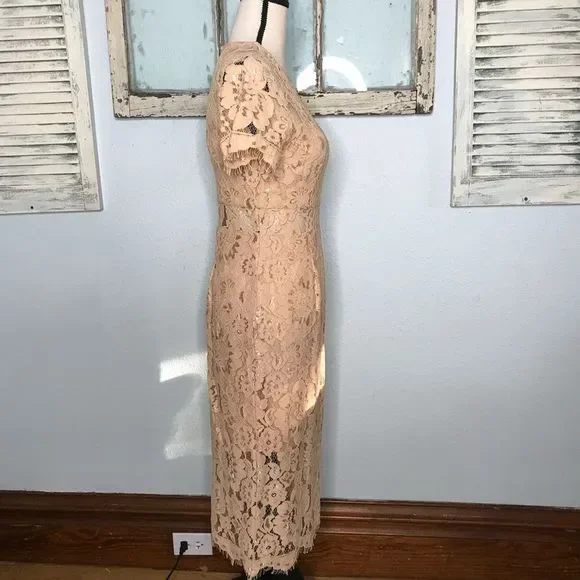 Beautiful NWT NSR Dress - Picture 10 of 14